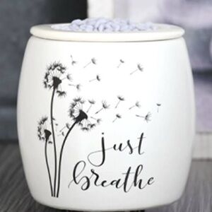 Pink Zebra Just Breathe Simmer Pot